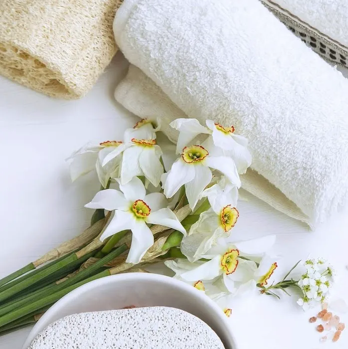 Venofye Skin Care 6
