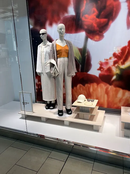 Macy's 6