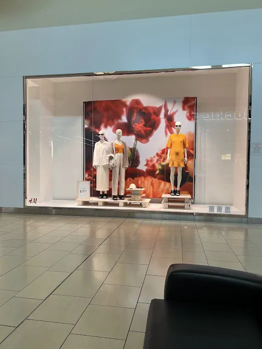 Macy's 1