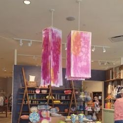 Anthropologie ico