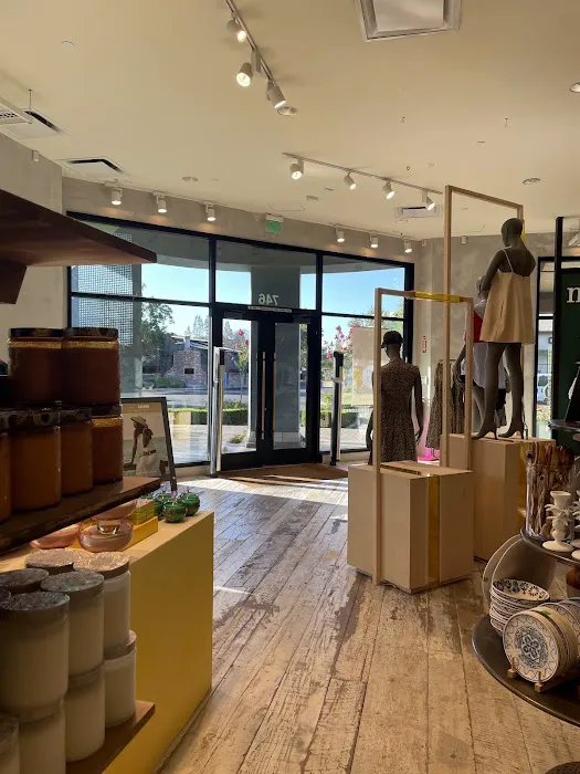 Anthropologie 4