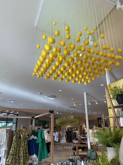 Anthropologie 5