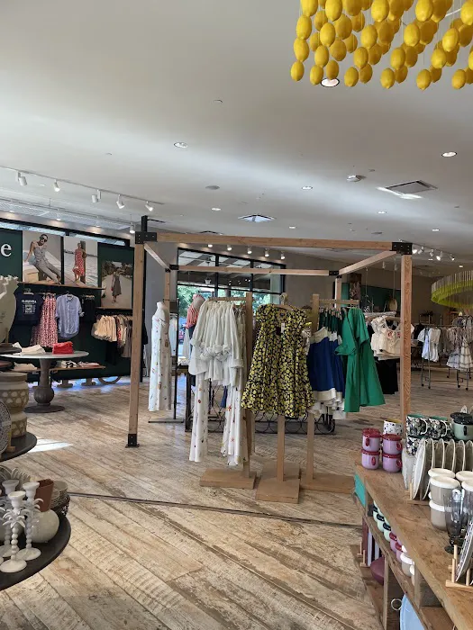Anthropologie 8