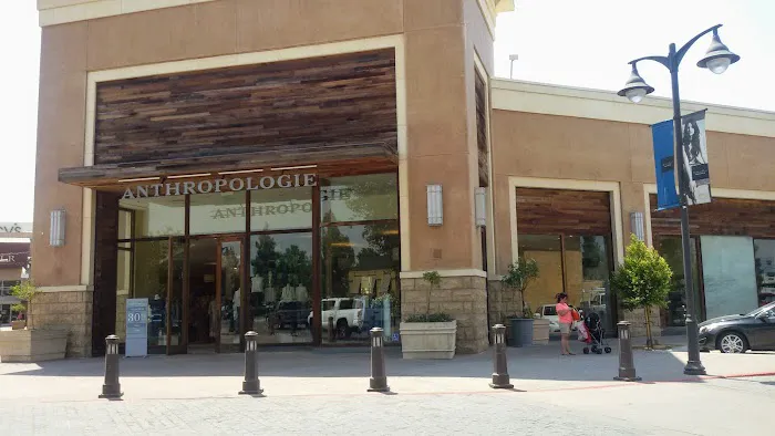 Anthropologie 1