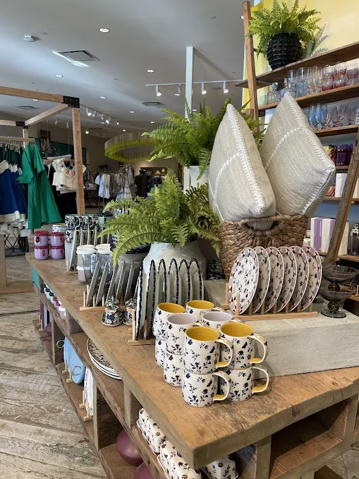 Anthropologie 6