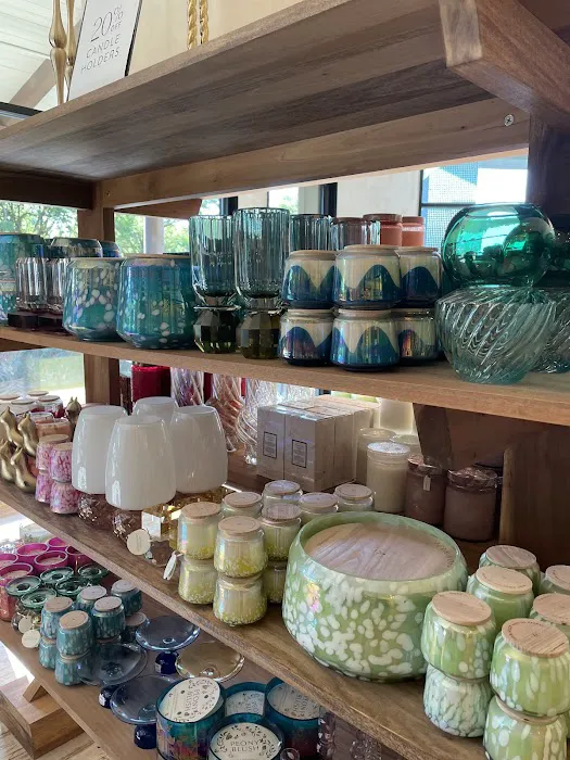 Anthropologie 3