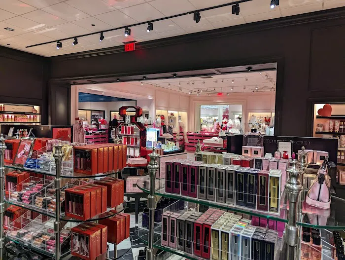 Victoria's Secret & PINK by Victoria's Secret 4