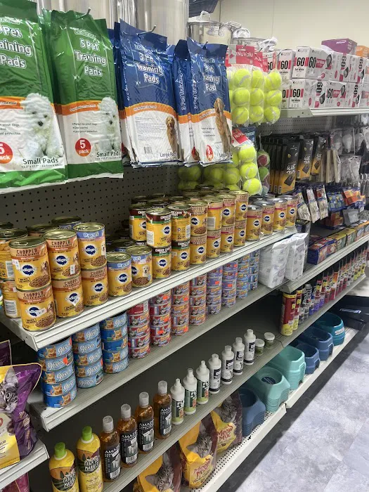 Dollar paradise 8