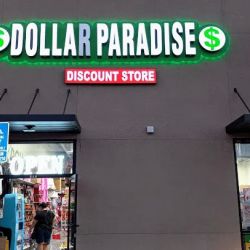 Dollar paradise ico