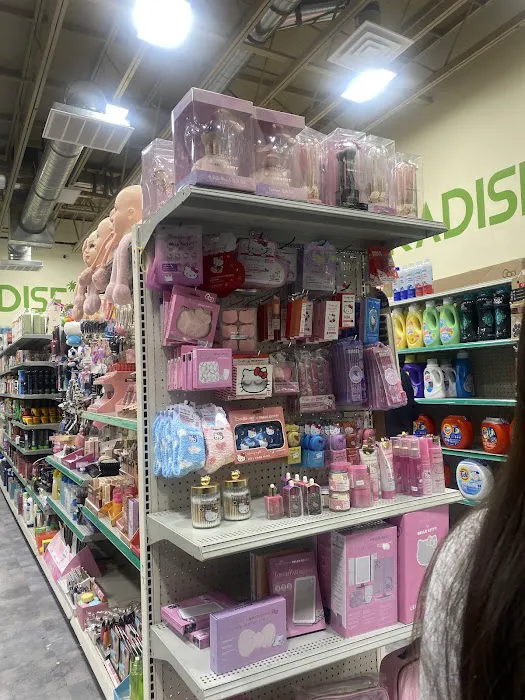 Dollar paradise 7