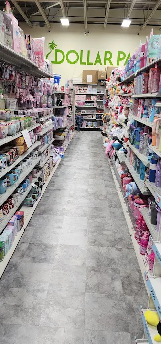 Dollar paradise 5