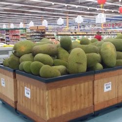 Shun Fa Supermarket ico