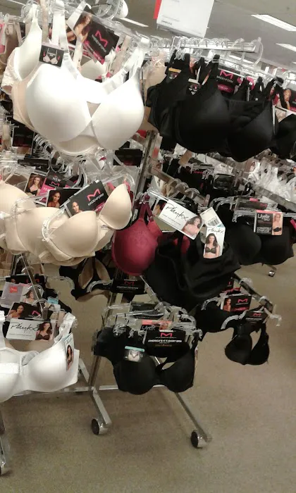 Belk 2