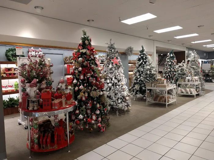 Macy's 9