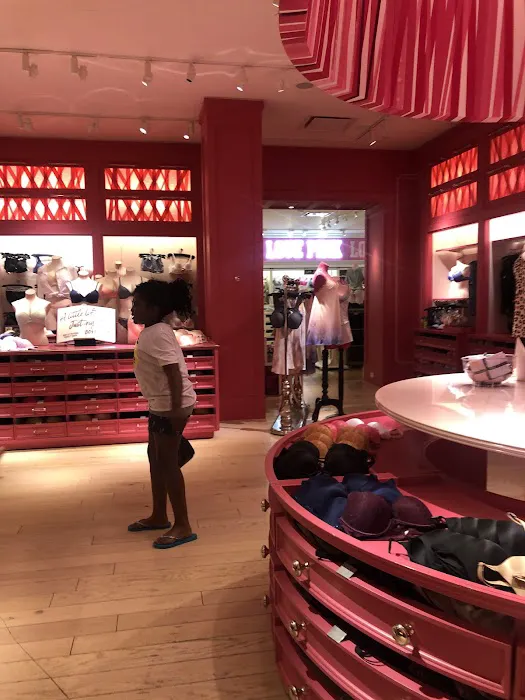 Victoria's Secret & PINK by Victoria's Secret 3