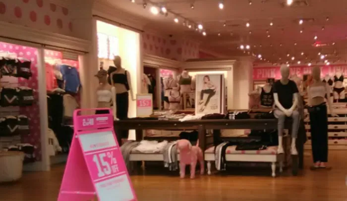 Victoria's Secret & PINK by Victoria's Secret 9