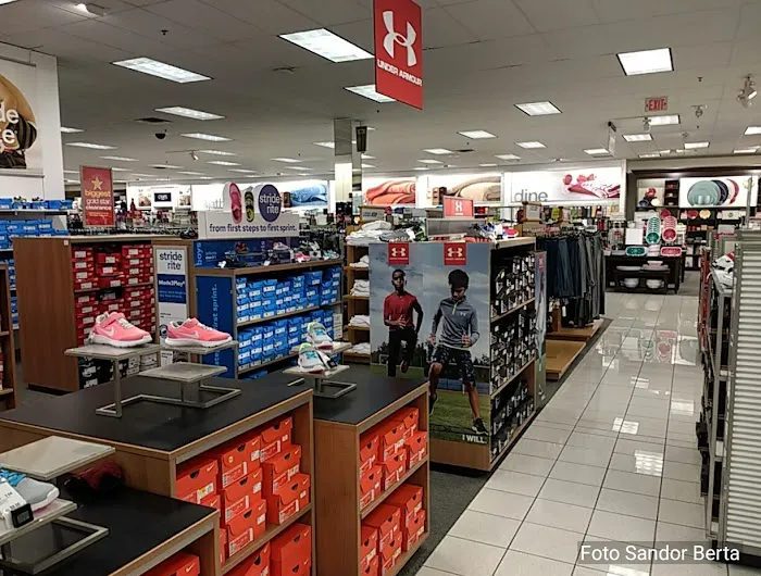 Kohl's 7