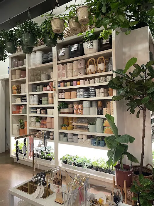 The Succulent Shop 5