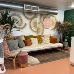 The Succulent Shop ico