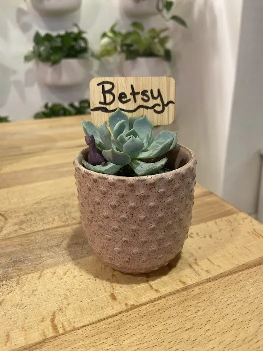 The Succulent Shop 6