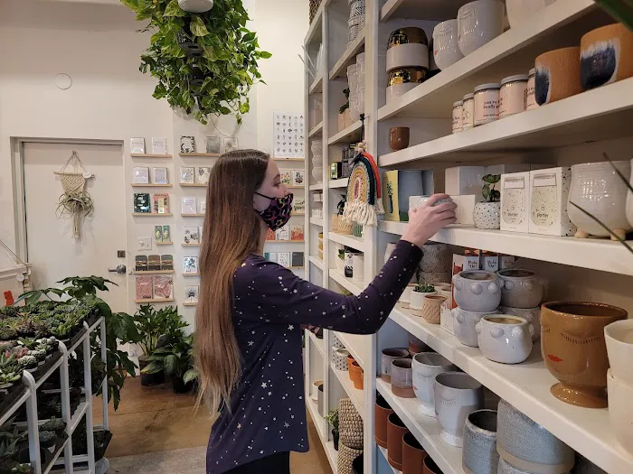 The Succulent Shop 9