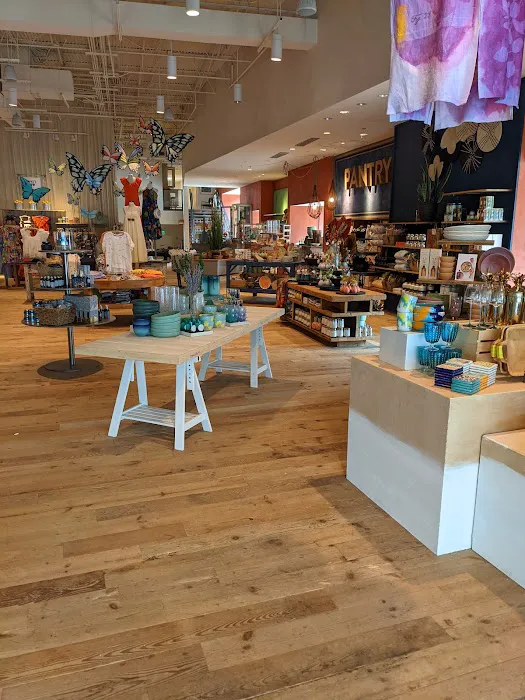 Anthropologie 0
