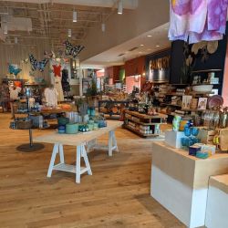 Anthropologie ico