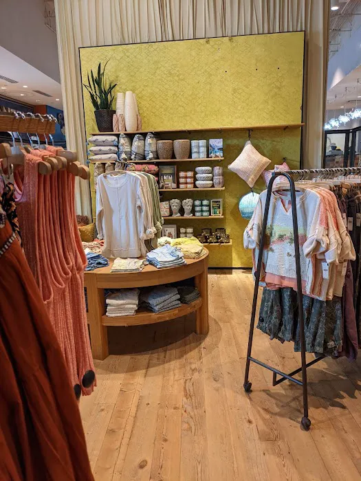 Anthropologie 2