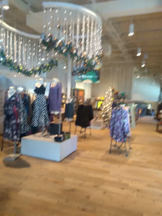 Anthropologie 7