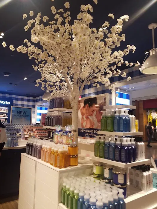 Bath & Body Works 4