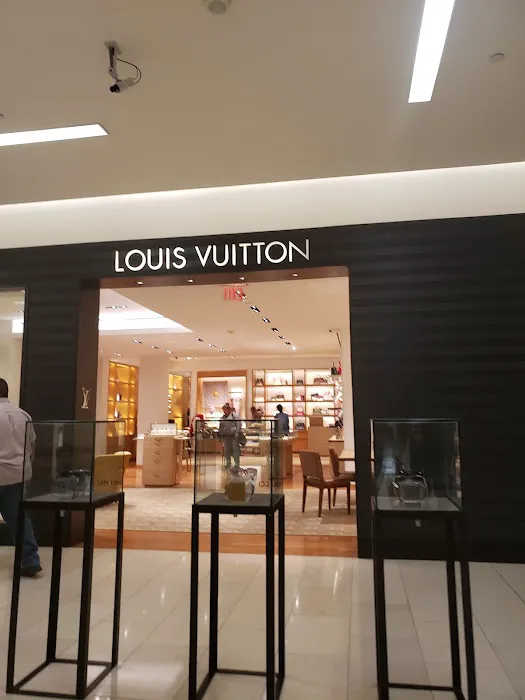 Louis Vuitton San Antonio Saks 4