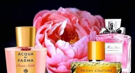 What Does Peony Smell Like in Perfume — The Essence of Modern Floral Elegance