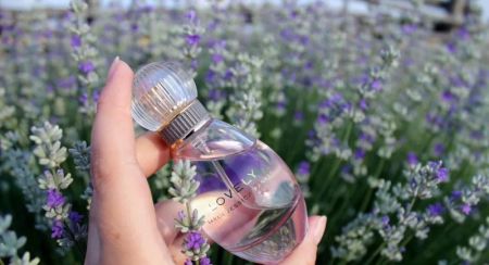What Does Sarah Jessica Parker Perfume Smell Like? A Complete Fragrance Breakdown