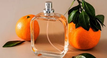 Best Perfumes for Someone Who Loves Clean Citrus Notes