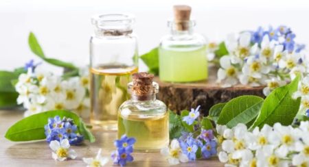Best Perfumes for Creating a Calm and Peaceful Environment